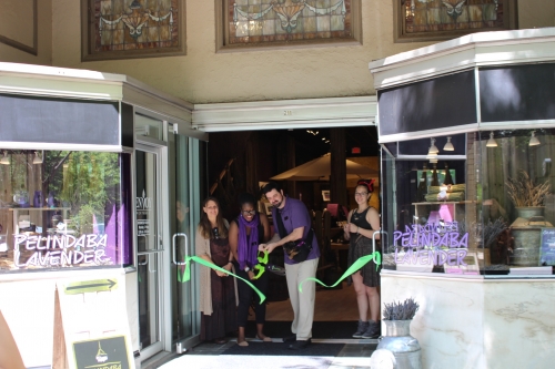 In Business: Pelindaba Lavender